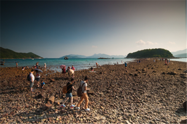 image004.png