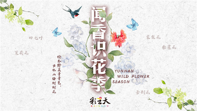 鲜花野菜.jpg