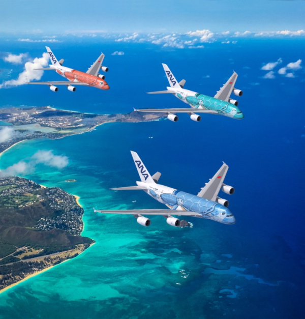 2 全日空A380海龟彩绘机.jpg
