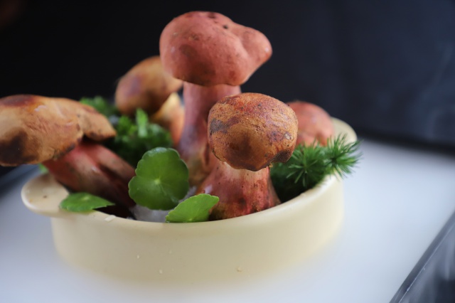 batch_6.野生菌火锅 Yunnan Mushroom Hotpot.jpeg