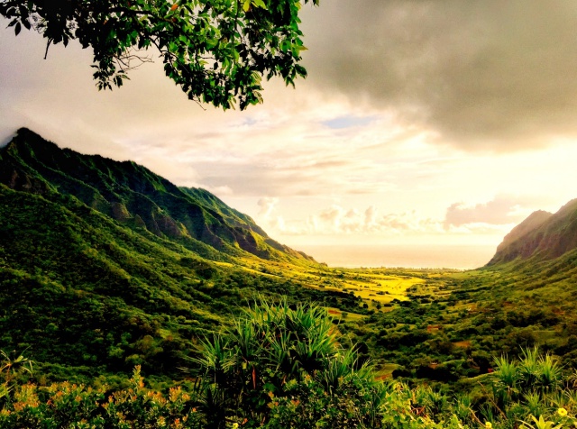 1567129427934060063.jpg batch_9古兰尼牧场Kaaawa 山谷.jpg