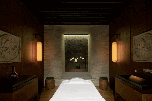 batch_UR SPA - Single Treatment Room.gif